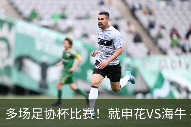 多场足协杯比赛！就申花VS海牛 有央视直播 而且还是CCTV5